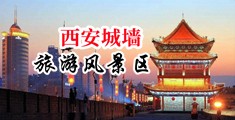 亚洲露逼图中国陕西-西安城墙旅游风景区
